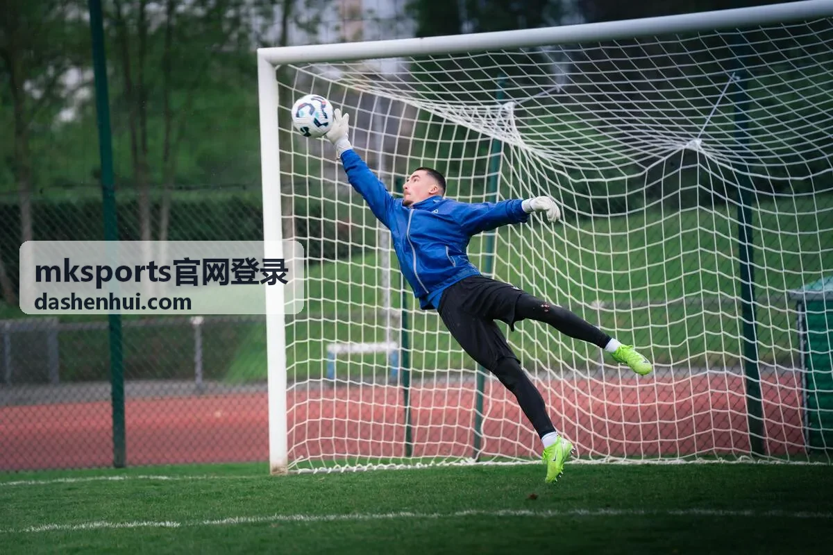 mksports官网登录验证方式与密码维护示意