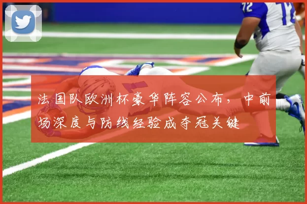 法国队欧洲杯豪华阵容公布，中前场深度与防线经验成夺冠关键