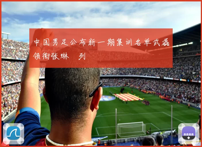 中国男足公布新一期集训名单武磊领衔张琳芃列