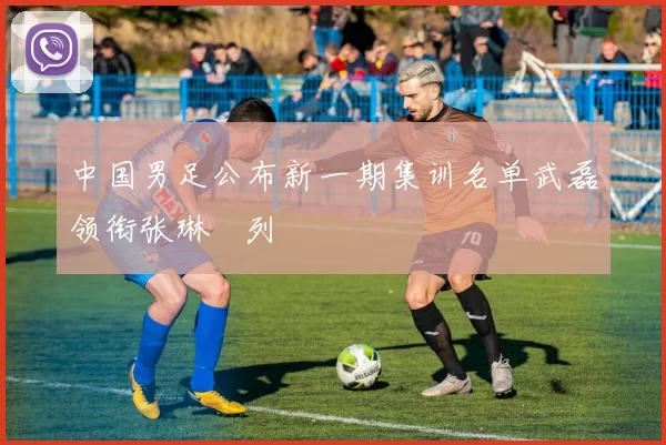 中国男足公布新一期集训名单武磊领衔张琳芃列