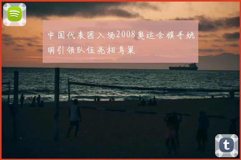 中国代表团入场2008奥运会旗手姚明引领队伍亮相鸟巢